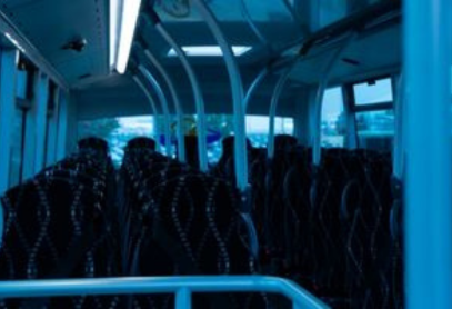 Untitled design (31)